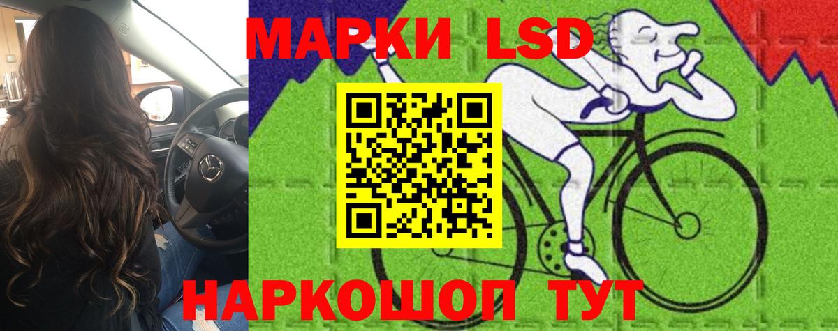Лсд 25 экстази ecstasy  Вход с VPN  Новошахтинск  omg зеркало  LSD-25 экстази кислота 
