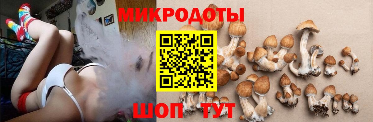Новошахтинск  Псилоцибиновые грибы мицелий  Вход с VPN 